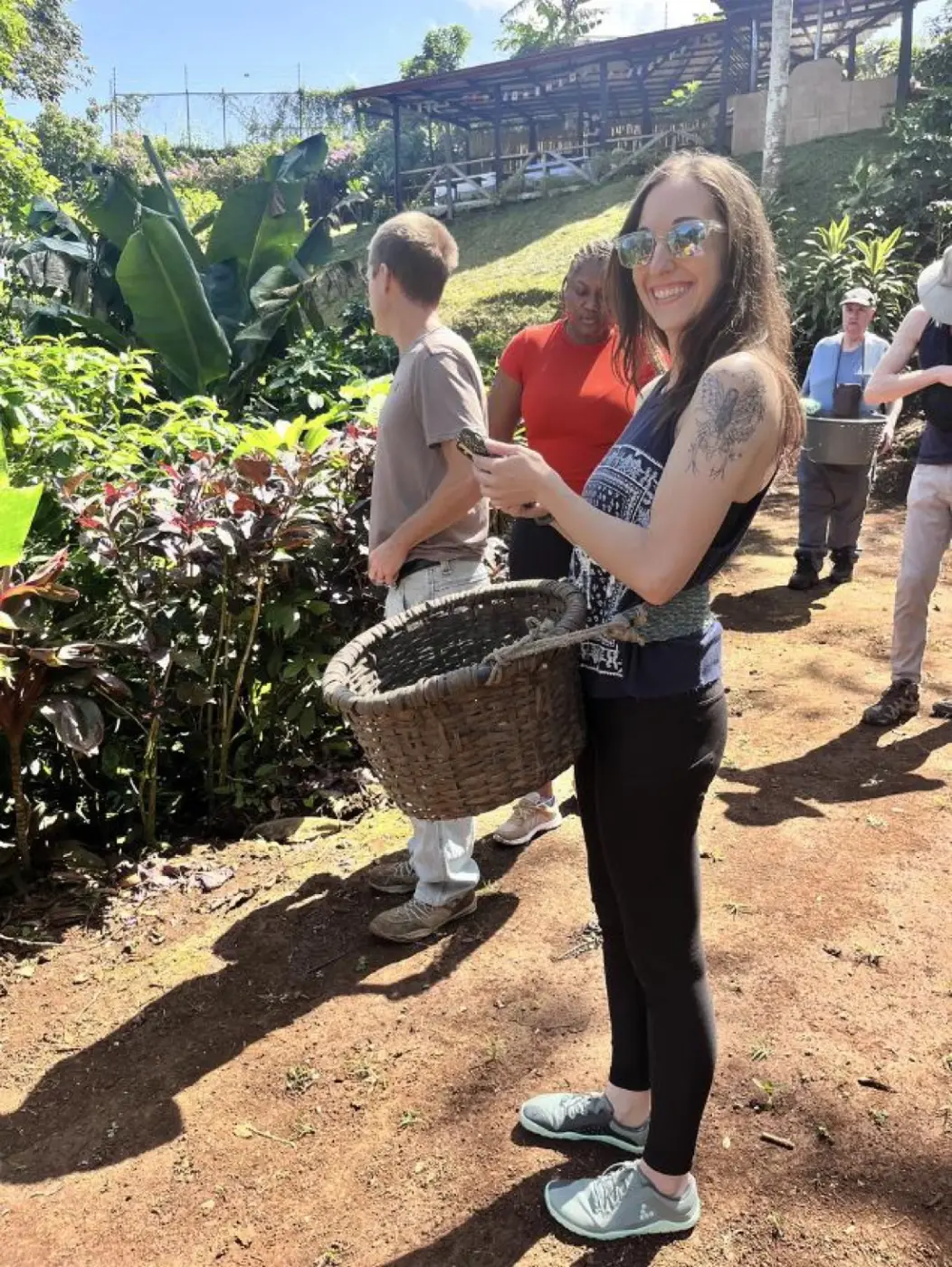 Picking coffee at a plantation during the orientation week